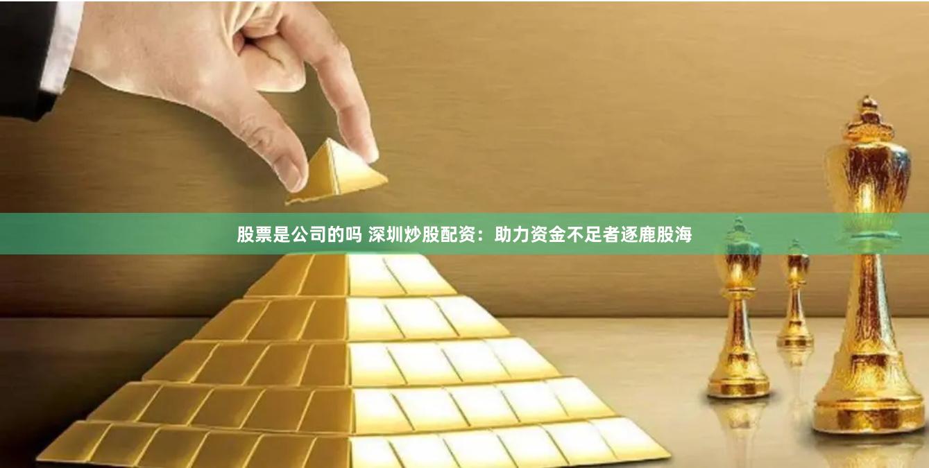股票是公司的吗 深圳炒股配资：助力资金不足者逐鹿股海